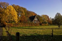 IMG_9967-herfst-resize.jpg