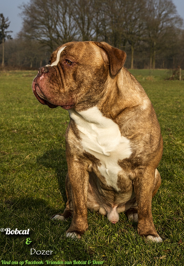 Richards-Fotos - Een veelzijdig dagje
