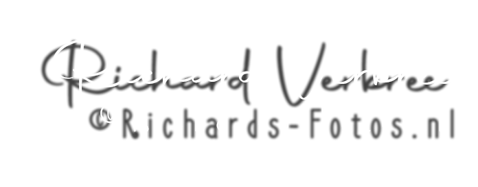 Richards Fotos Website Logo